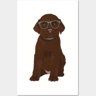 Cute Hipster Chocolate Labrador Retriever Puppy T-Shirt for Dog Lovers Posters and Art